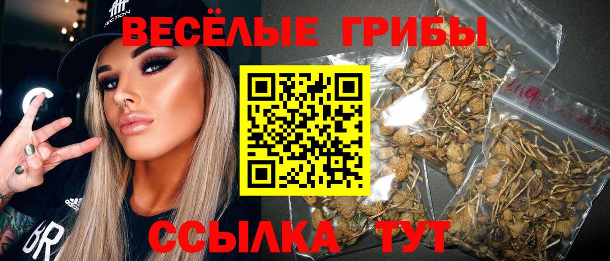 Краснодар  Псилоцибиновые грибы GOLDEN TEACHER  Вход с VPN 