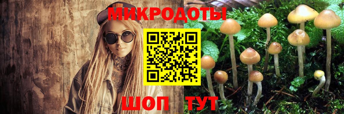 Псилоцибиновые грибы мицелий Краснодар
